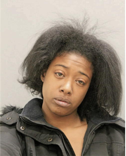 TIERRA M BOYLAN, Cook County, Illinois