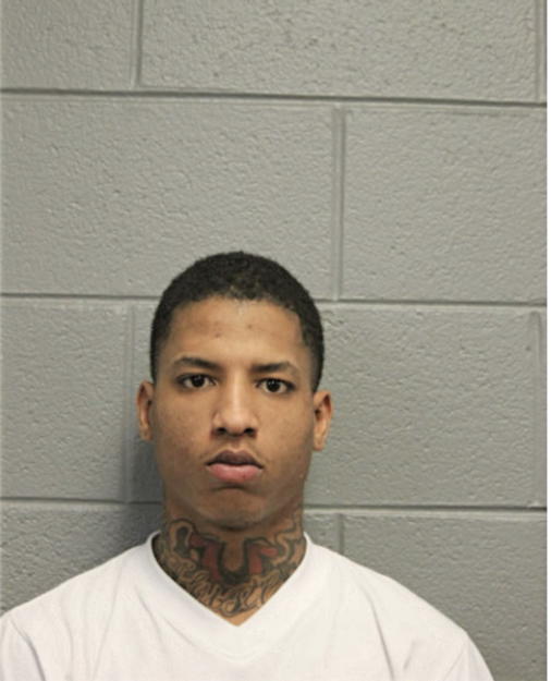 LEE M DAVIS, Cook County, Illinois
