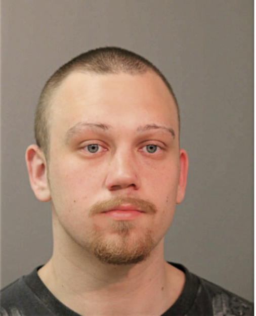 MICHAEL C DELES, Cook County, Illinois
