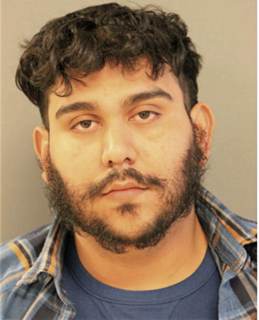ALFONSO ESTRADA, Cook County, Illinois