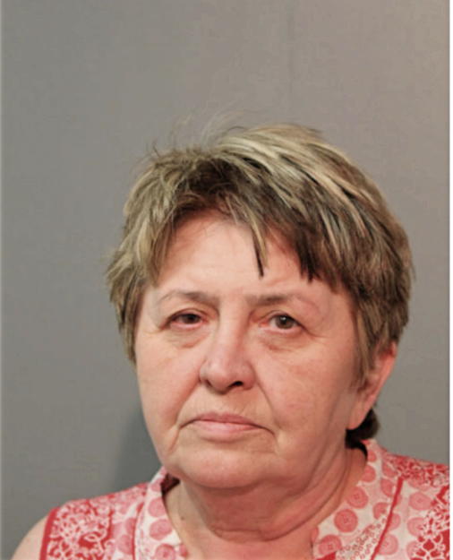 OLHA FARYNA, Cook County, Illinois