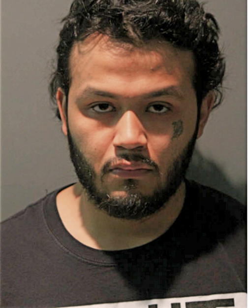 OMAR R FLORES, Cook County, Illinois