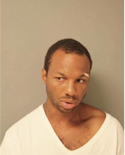 RANDY P HAYNES, Cook County, Illinois
