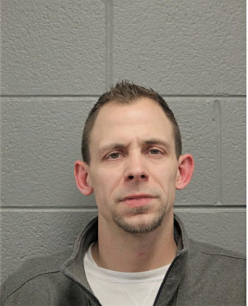BRIAN J HOLTZ, Cook County, Illinois