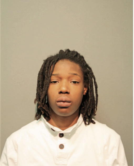 ASHLEY D JOHNSON, Cook County, Illinois