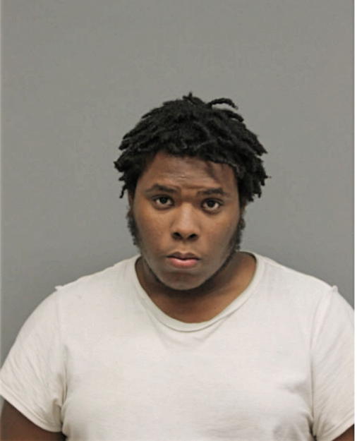JEVON D JOHNSON, Cook County, Illinois
