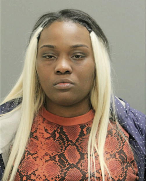 CHALON E LAYTON, Cook County, Illinois