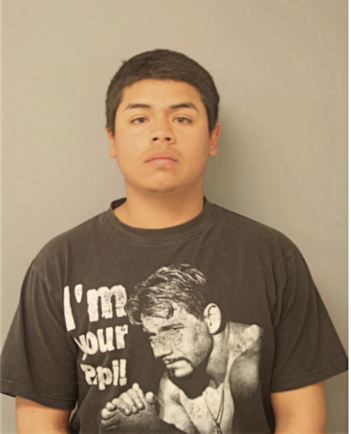 FABIAN LOPEZ, Cook County, Illinois