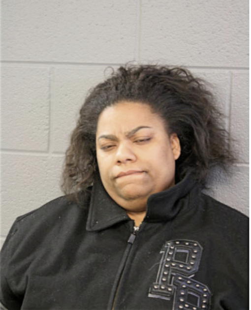 DEBRA S NOBLE, Cook County, Illinois