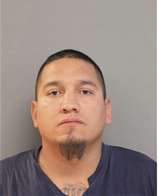 VINCENT O PAZ, Cook County, Illinois