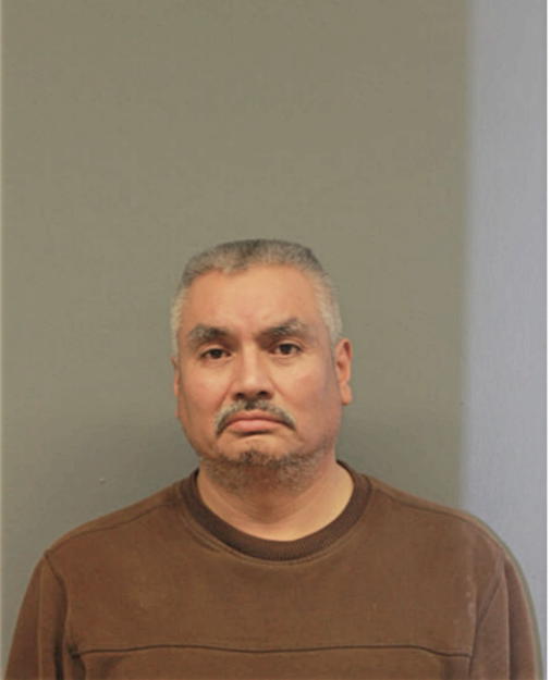 FERMIN ROMAN, Cook County, Illinois