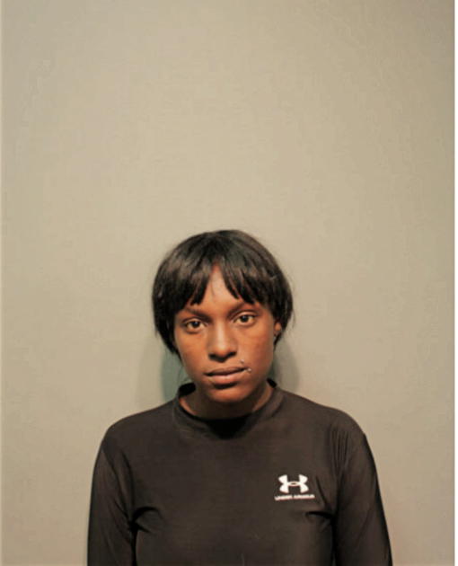NIKKI P SANDERS, Cook County, Illinois