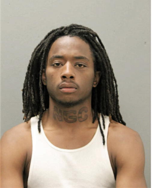 TROY K STRENGER, Cook County, Illinois