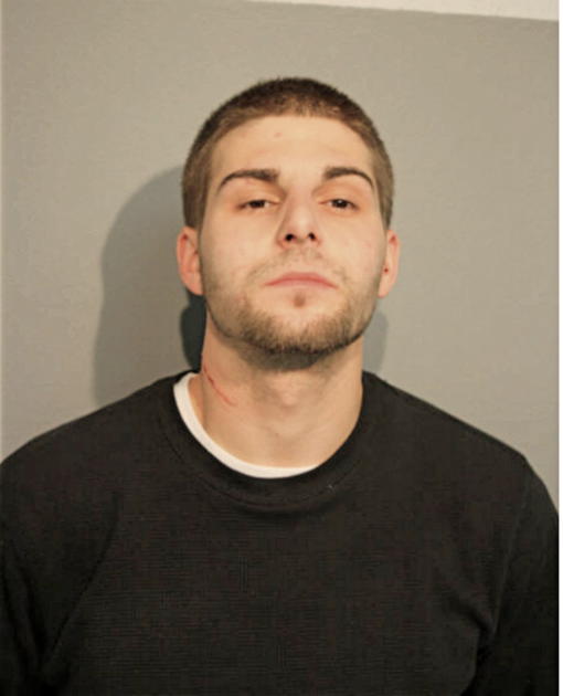 JONATHAN C SUSELESCU, Cook County, Illinois