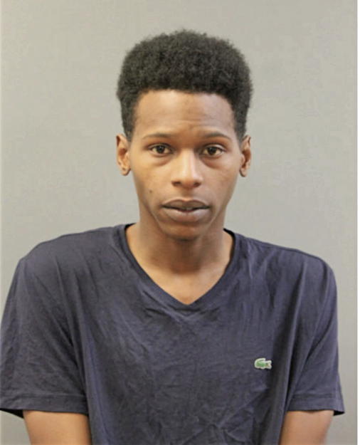 RAYMOND R TAYLOR, Cook County, Illinois