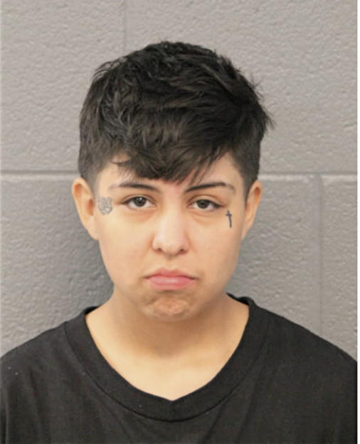 ROSEMARY VARGAS, Cook County, Illinois