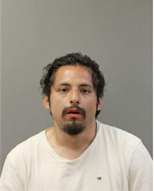 FRANCISCO J VEGA, Cook County, Illinois