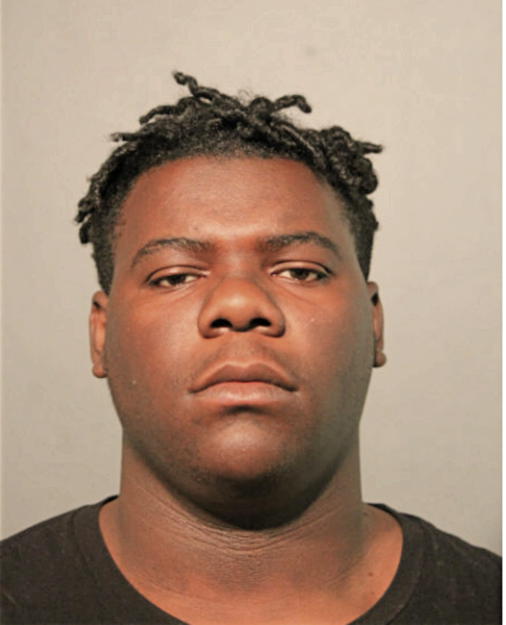 NATHANIEL D WILLIAMS, Cook County, Illinois