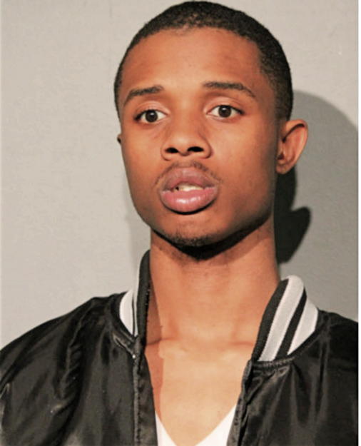 DARNELL L WILSON, Cook County, Illinois