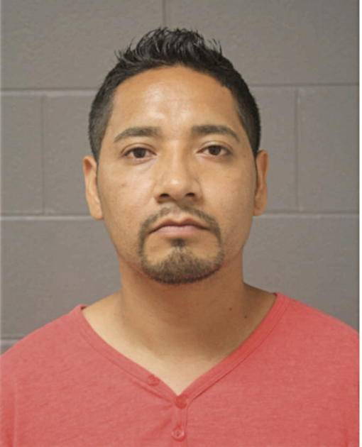 MARCO ZAVALA, Cook County, Illinois