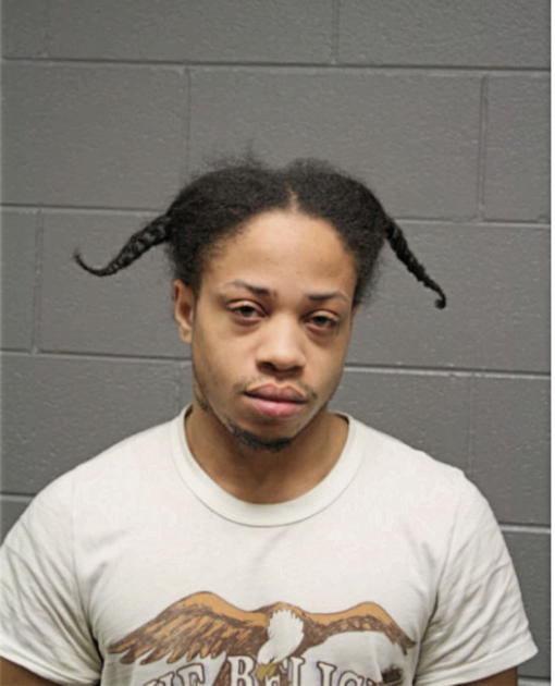 TERRANCE JAVON ALEXANDER HOGAN, Cook County, Illinois