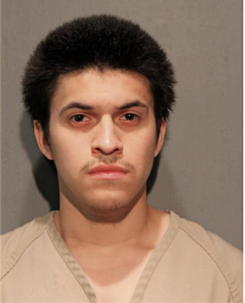 ALEXIS ANDRADE, Cook County, Illinois
