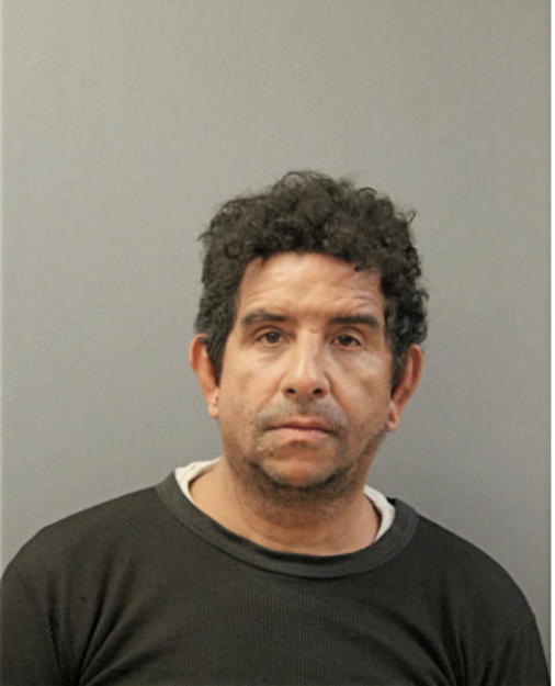 MIGUEL A APONTE, Cook County, Illinois