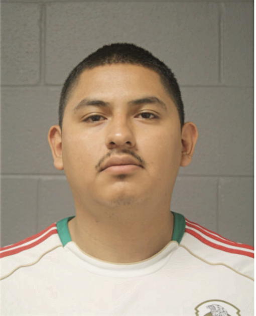 LEONARDO ARENALES, Cook County, Illinois