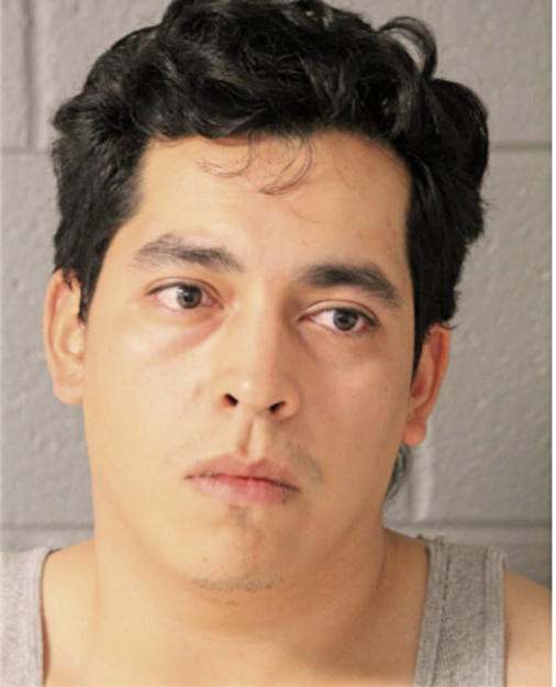 DANIEL BARGAS, Cook County, Illinois