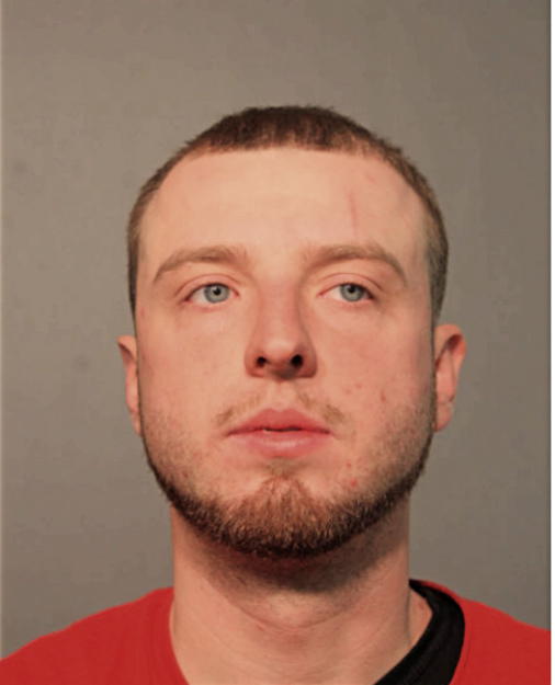GREG M BOGACZ, Cook County, Illinois