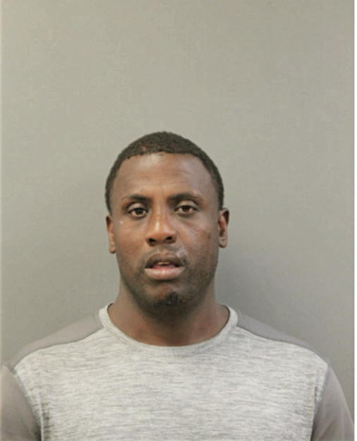 ROBERT P BOVAN, Cook County, Illinois