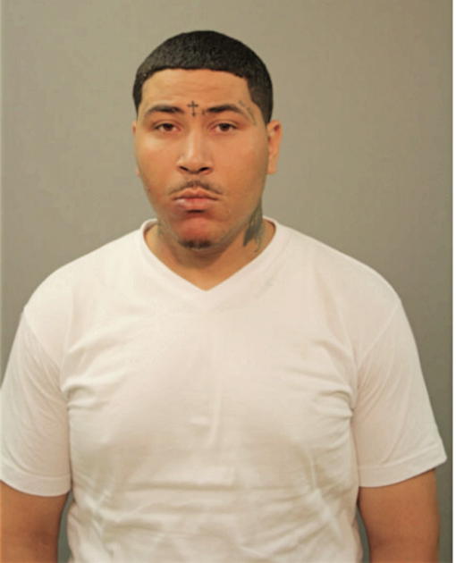 NICHOLAS BROWN, Cook County, Illinois