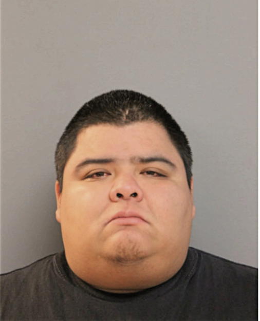 ANDRES G DAVILA, Cook County, Illinois