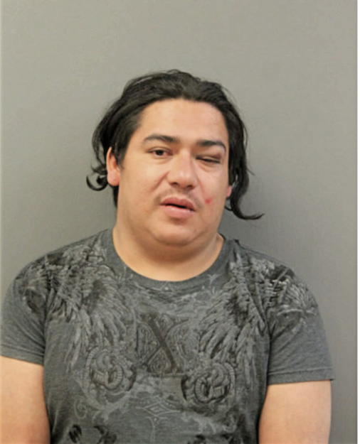 MARTIN GARCIA, Cook County, Illinois