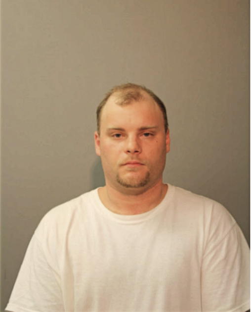DAVID J GUERINO, Cook County, Illinois