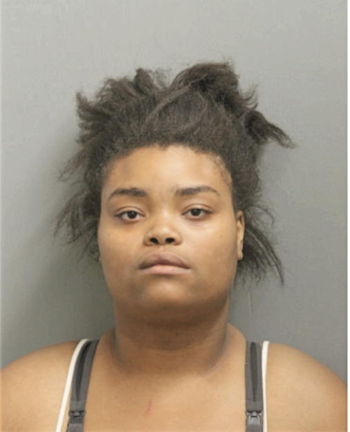 JANEE C JOHNSON, Cook County, Illinois