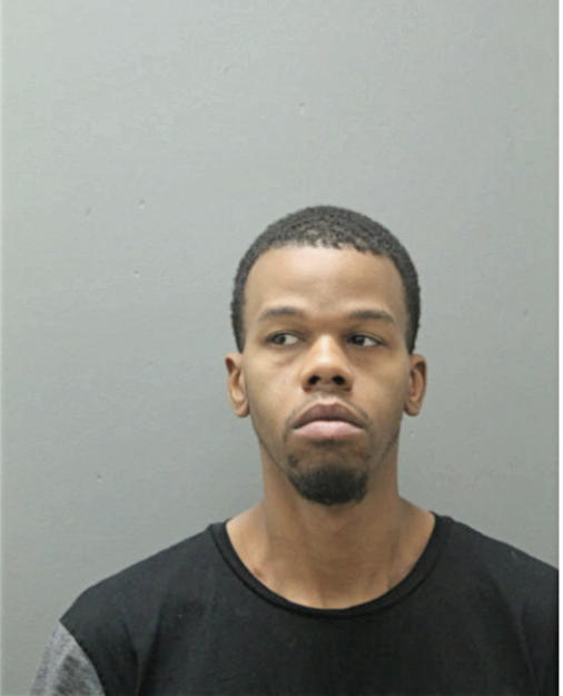 MICHAEL A JOHNSON, Cook County, Illinois
