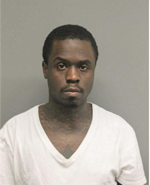 CHRISTOPHER R NASH, Cook County, Illinois