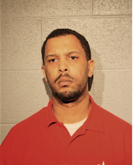 CLARENCE E NEWSON, Cook County, Illinois