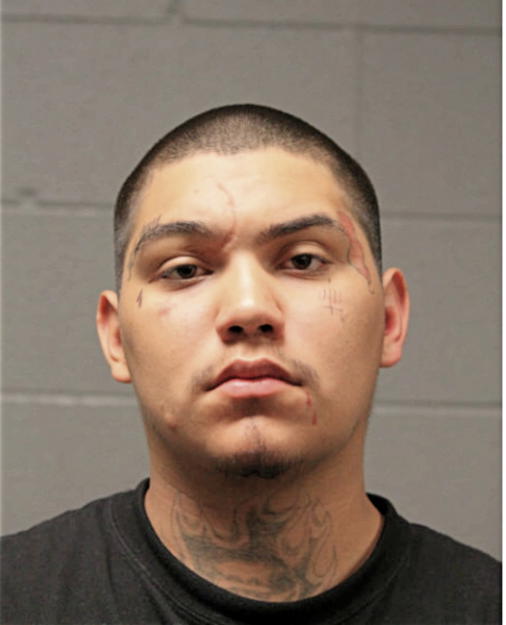 JOSEPH M SANCHEZ, Cook County, Illinois
