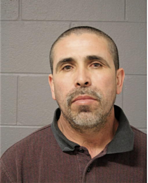 LUIS E SANCHEZ, Cook County, Illinois