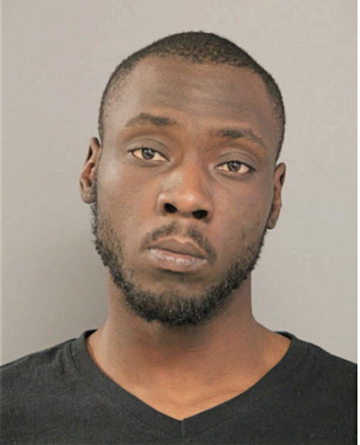 MAURICE L WHITE, Cook County, Illinois