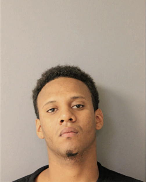 MICHAEL WILLIAMS, Cook County, Illinois