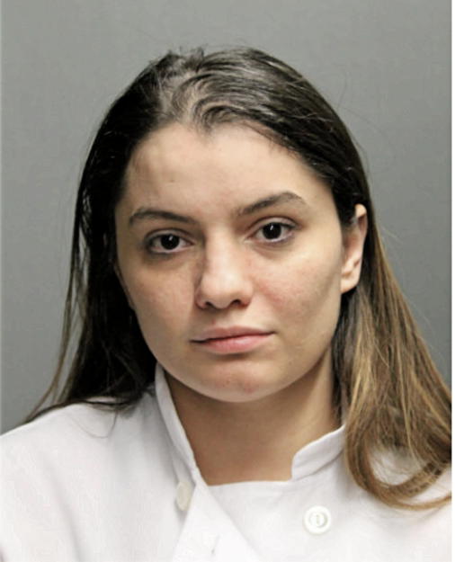 BROOKE N DAWOOD, Cook County, Illinois