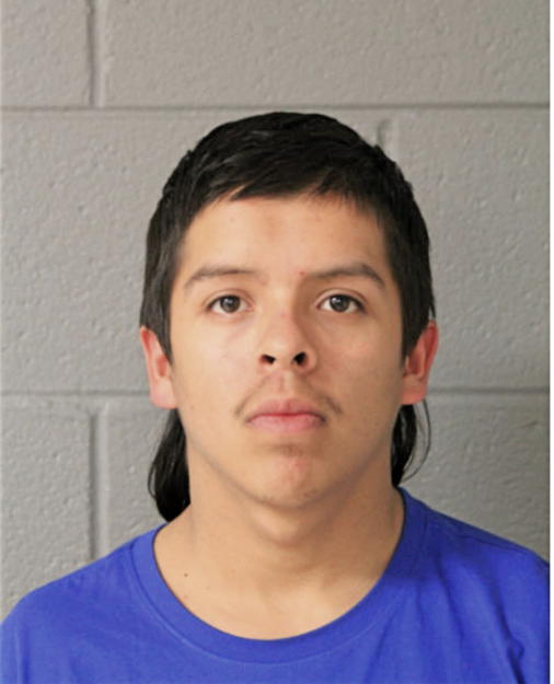 ARTURO FLORES, Cook County, Illinois