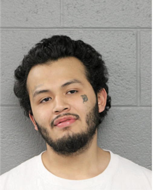 OMAR R FLORES, Cook County, Illinois