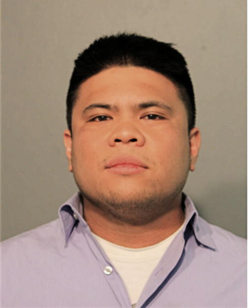 MARK G GAMENG, Cook County, Illinois
