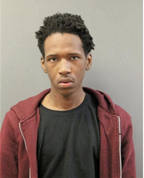 LAVON J JOHNSON, Cook County, Illinois