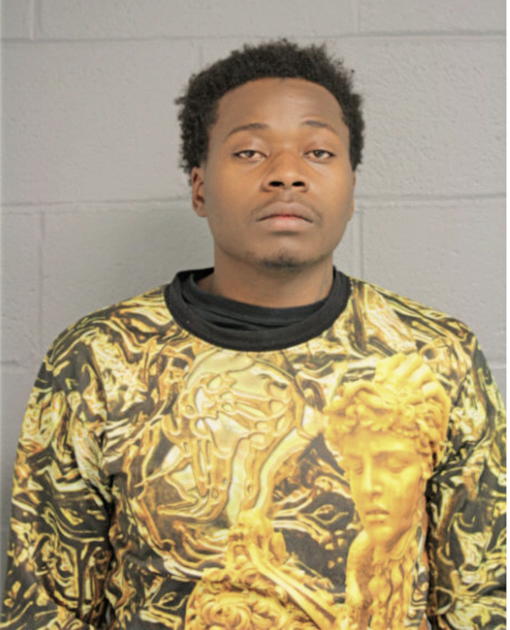 TERRANCE JOHNSON, Cook County, Illinois