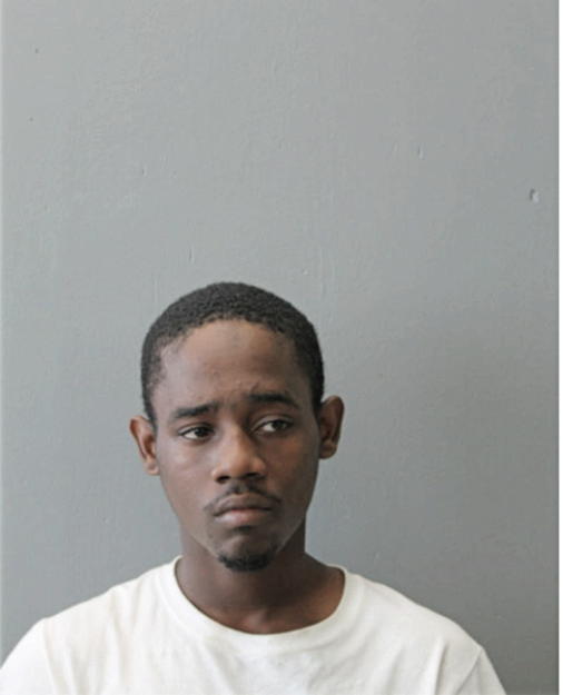 JOHNNY L JONES JR, Cook County, Illinois
